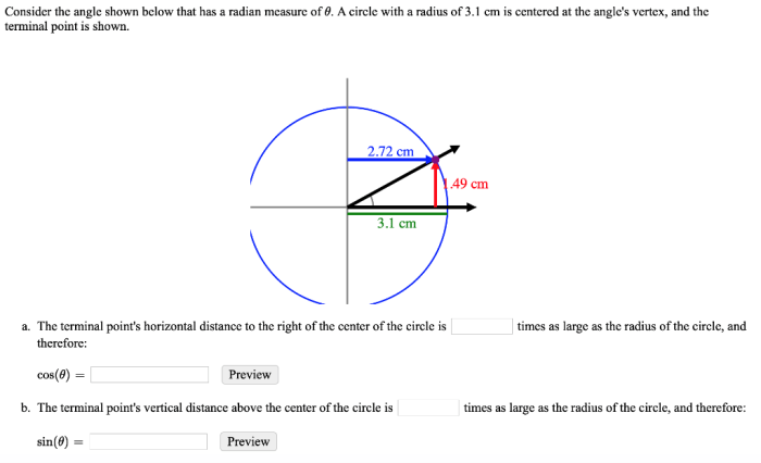 Ray angle initial consider shown radians below measures direction pointing clock circle where solved transcribed problem text been show