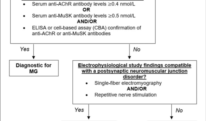 Gravis myasthenia nursing