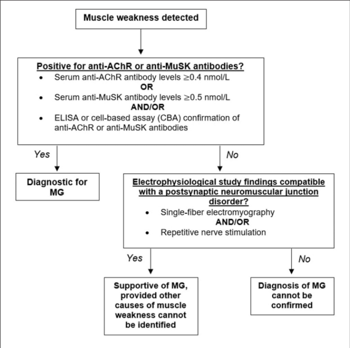 Gravis myasthenia nursing