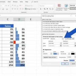 Define 25 as the maximum data bars