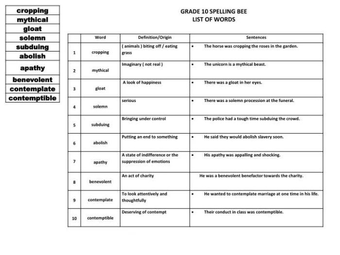 Spelling bee words for sixth graders