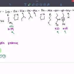 Leu val ala ser asp lys gly ile gln glu his structure cas guidechem molecular chemicalbook