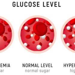 Diabetes or hypoglycemia occurs when blood glucose regulation fails