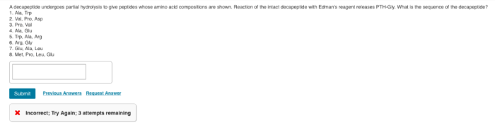 Rank the following peptides from most to least hydrophobic.