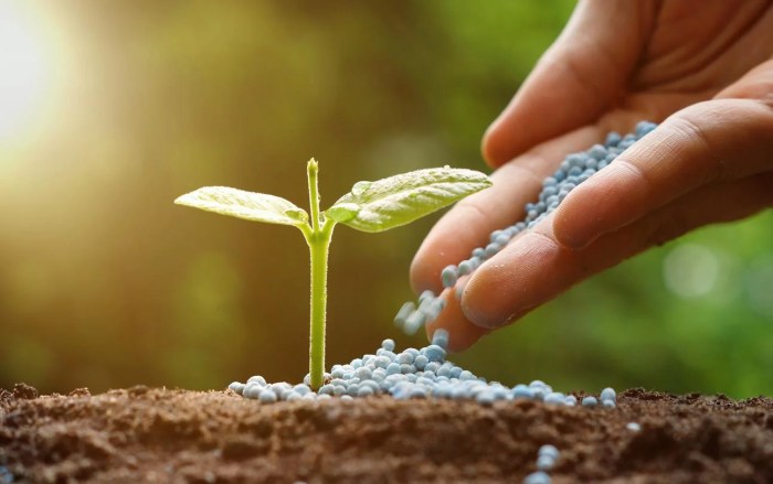 A farmer needs to buy fertilizer for his farmland