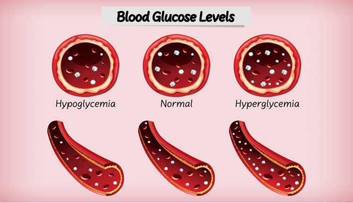 Diabetes or hypoglycemia occurs when blood glucose regulation fails